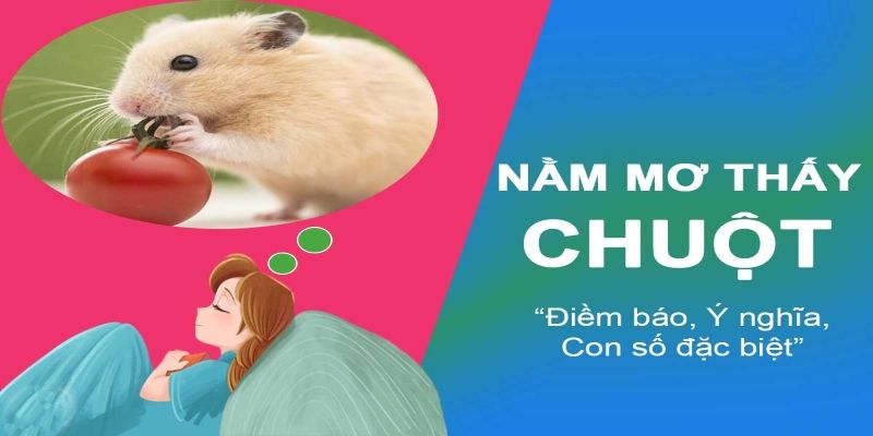 Mơ thấy chuột nên đánh con gì?